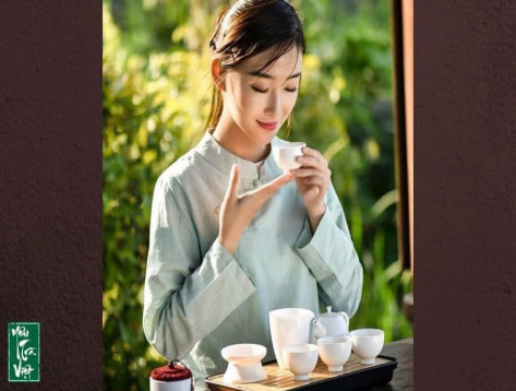 Hướng dẫn pha trà Shan Tuyết đúng chuẩn ngon tuyệt hảo.